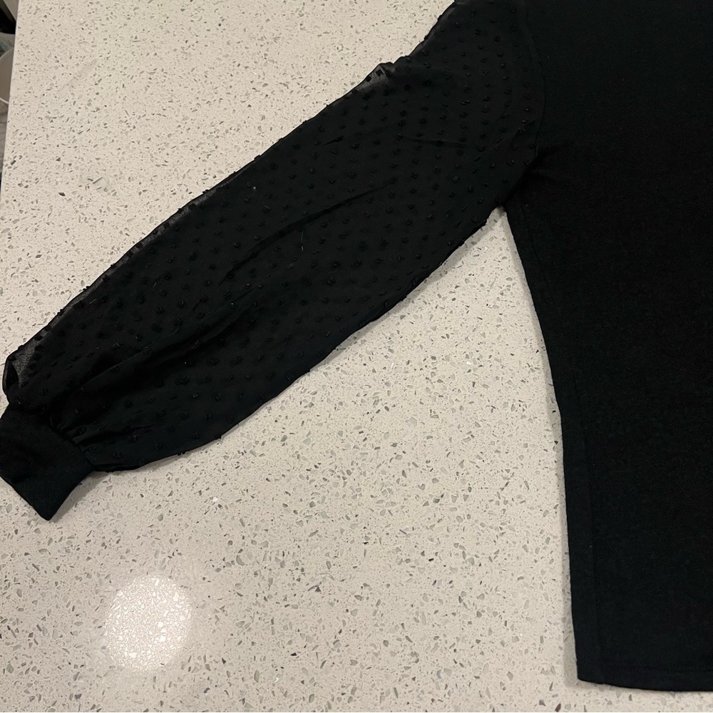 LILY MORGAN Black Light Sweater with Sheer Polka Dot Embroidered Sleeves Size SM - Picture 4 of 6
